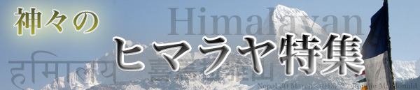 himaraya 600 - ヒマラヤ水晶専門店の効果が強すぎる？　2023年版　|パワーストーン・天然石専門店