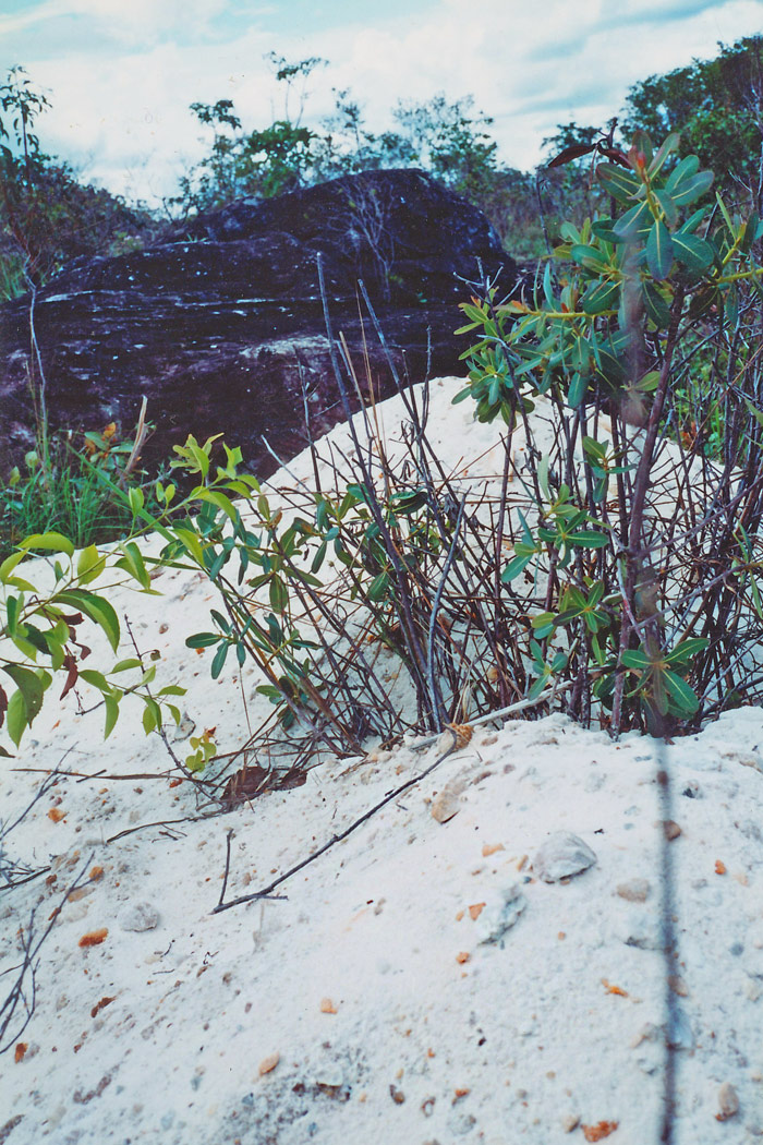 セーラデカブラルの砂丘