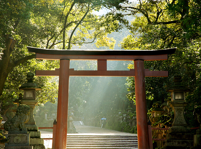 AdobeStock 34073619 - 神々が集う国「日本」