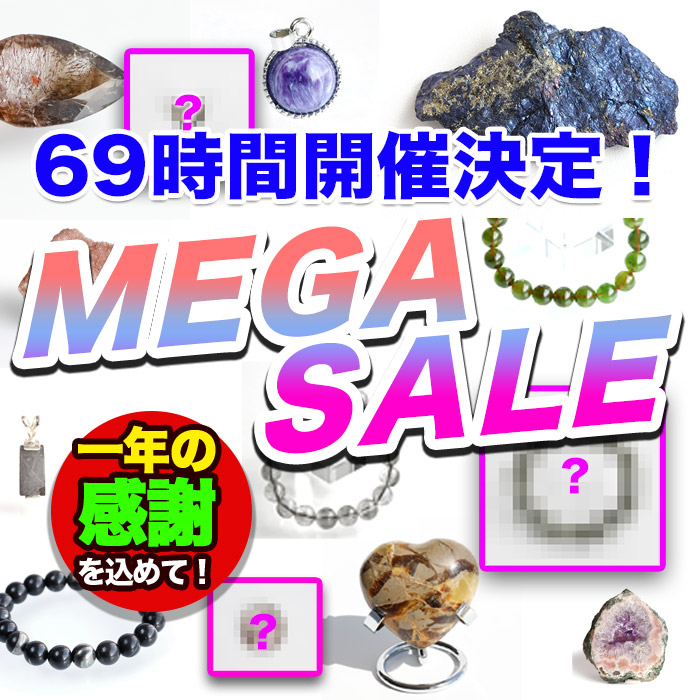 2023 12  - メガセールのご案内です♪