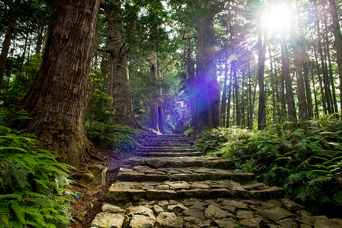 AdobeStock 158431464 - 世界遺産の神石「しろいし」のご紹介です♪