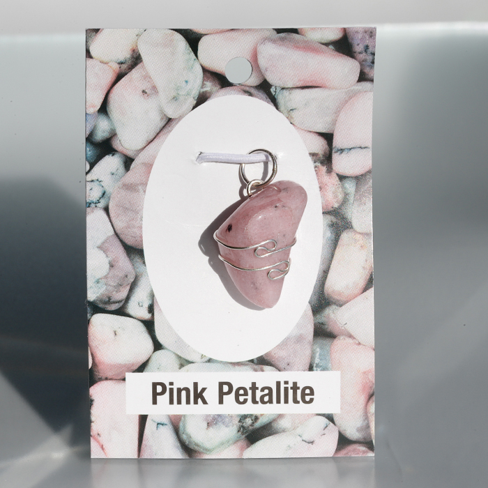 ツーソンから戻りました♪ IMG 21274 - ツーソンから戻りました♪