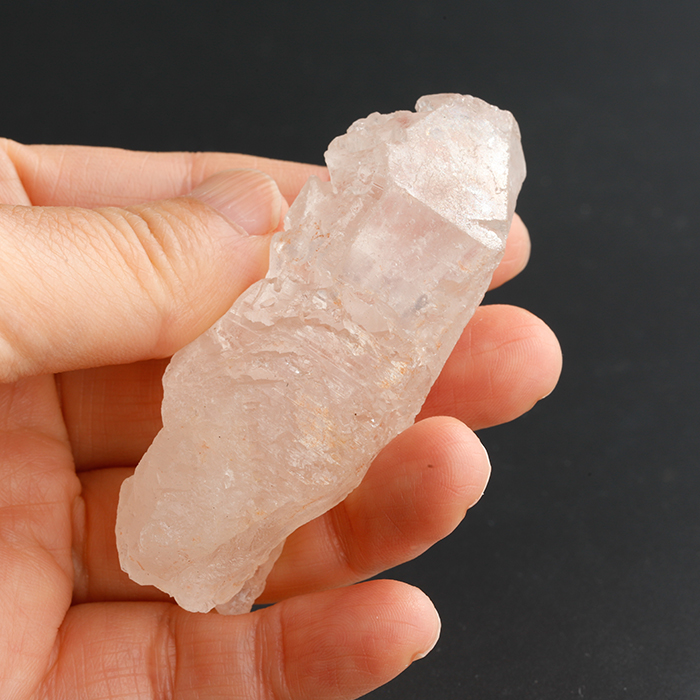 力のある元祖アイスクリスタルの再登場です♪ IMG 21530 - 力のある元祖アイスクリスタルの再登場です♪