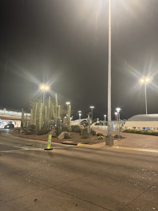 ツーソンから戻りました♪ IMG 5269 e1771603107692 - ツーソンから戻りました♪