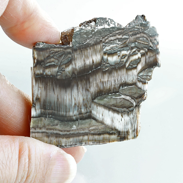 アリゾナ・ピーターサイトと本物のハウライトのご紹介です♪ MG 7328 - アリゾナ・ピーターサイトと本物のハウライトのご紹介です♪