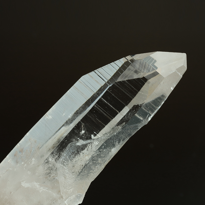 コロンビア・レムリアン