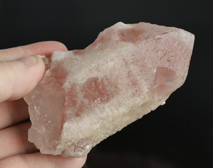 レッドレムリアンシード