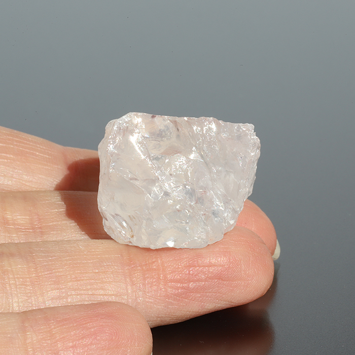 メタモルフォーシス