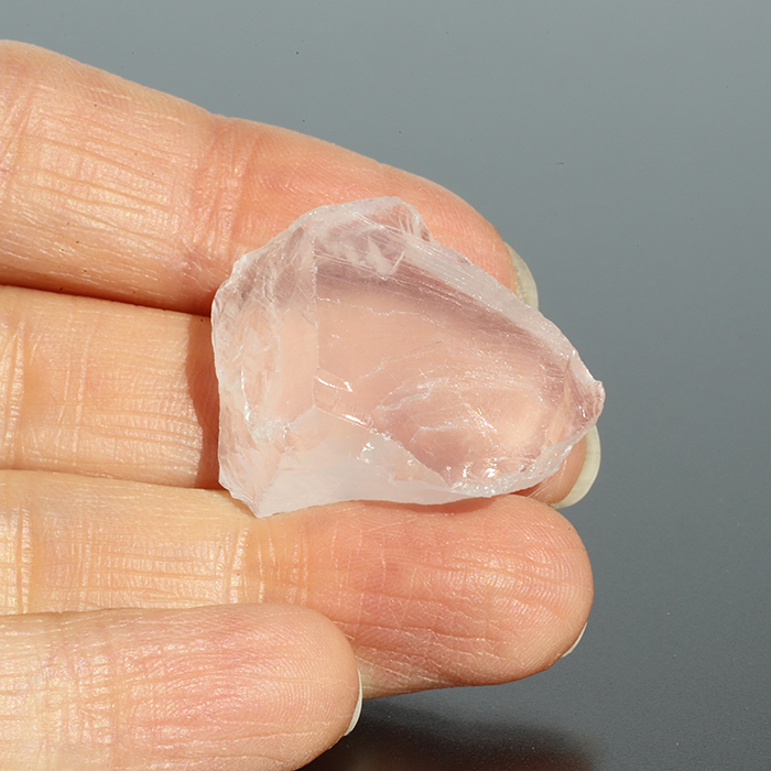 メタモルフォーシス