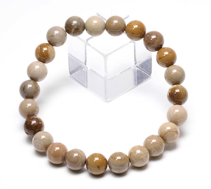 ナイルフリント