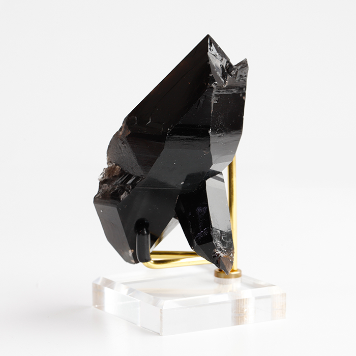 ブラジル産のモリオン