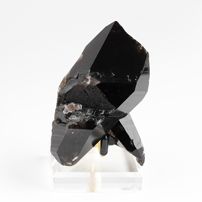 ブラジル産のモリオン