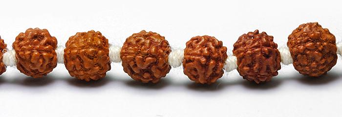 ✦ルドラクシャ2種魔除けハイパワーストーン✦ 大特価!金剛菩提樹＝ルドラクシャの約6mm 2 【天然石・パワーストーン】