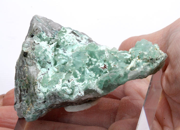 プランシェアイトインクォーツ