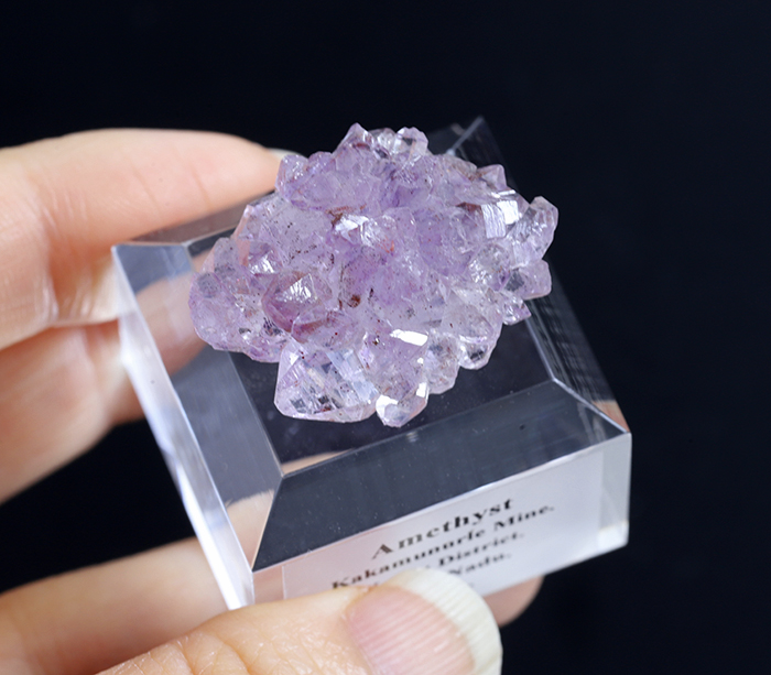 アメジスト薔薇No.798 (ポスト18G)男性メンズにも（片耳用）ピアッサー 医療用