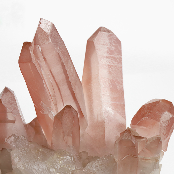 レッドレムリアンシード