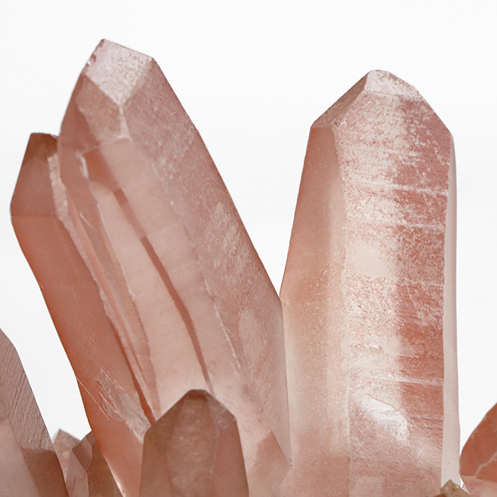 レッドレムリアンシード