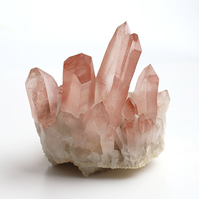 レッドレムリアンシード