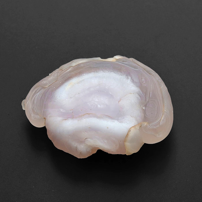 コンシャアゲート