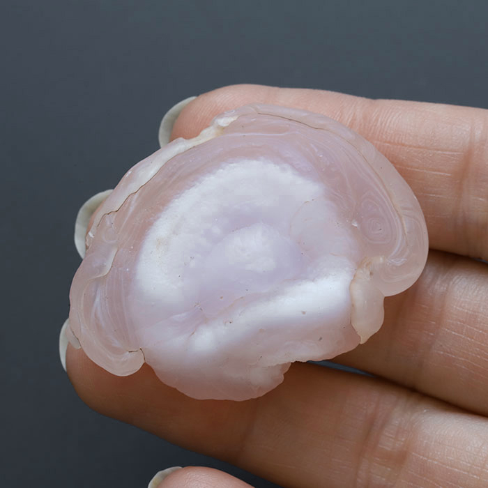 コンシャアゲート