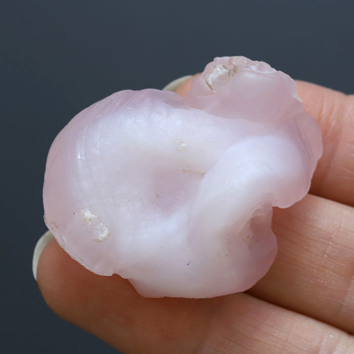 コンシャアゲート