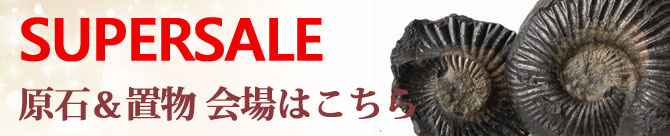 sg - 本日22：00～スーパーセールはじまります！追加アイテムが続々到着！！